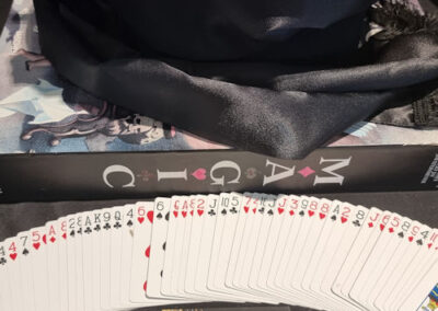 Mornington OCT 2023 expo Magic