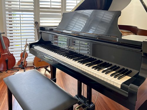 Nicky Johnston Illustration